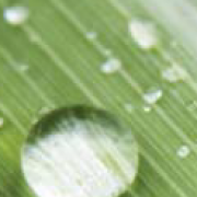 Plant_Minerals___4f0240ced6d42.png